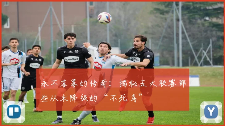 永不落幕的传奇：揭秘五大联赛那些从未降级的“不死鸟”