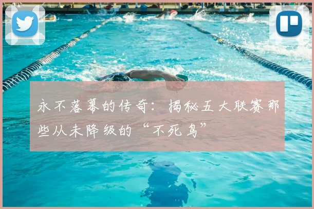 永不落幕的传奇:揭秘五大联赛那些从未降级的“不死鸟”