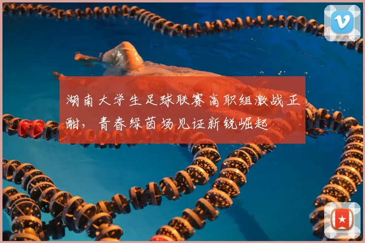 湖南大学生足球联赛高职组激战正酣,青春绿茵场见证新锐崛起