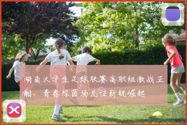 湖南大学生足球联赛高职组激战正酣，青春绿茵场见证新锐崛起