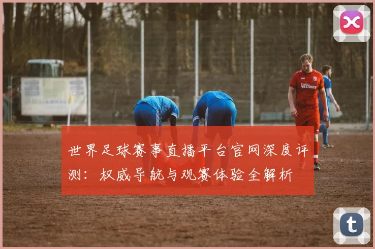 世界足球赛事直播平台官网深度评测:权威导航与观赛体验全解析